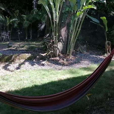 Puerto Viejo de Talamanca Casa Arlecchino 아파트 외부 사진