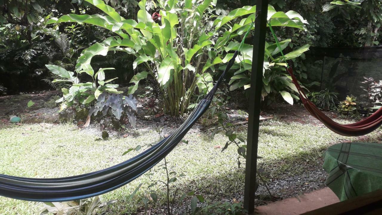 Puerto Viejo de Talamanca Casa Arlecchino 아파트 외부 사진